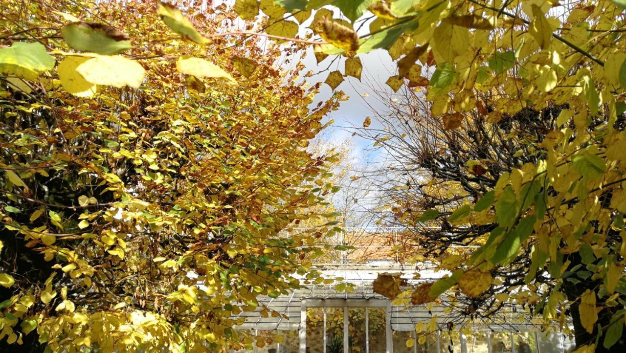 Chateau De Brinville Saint-Sauveur-sur-Ecole Ngoại thất bức ảnh